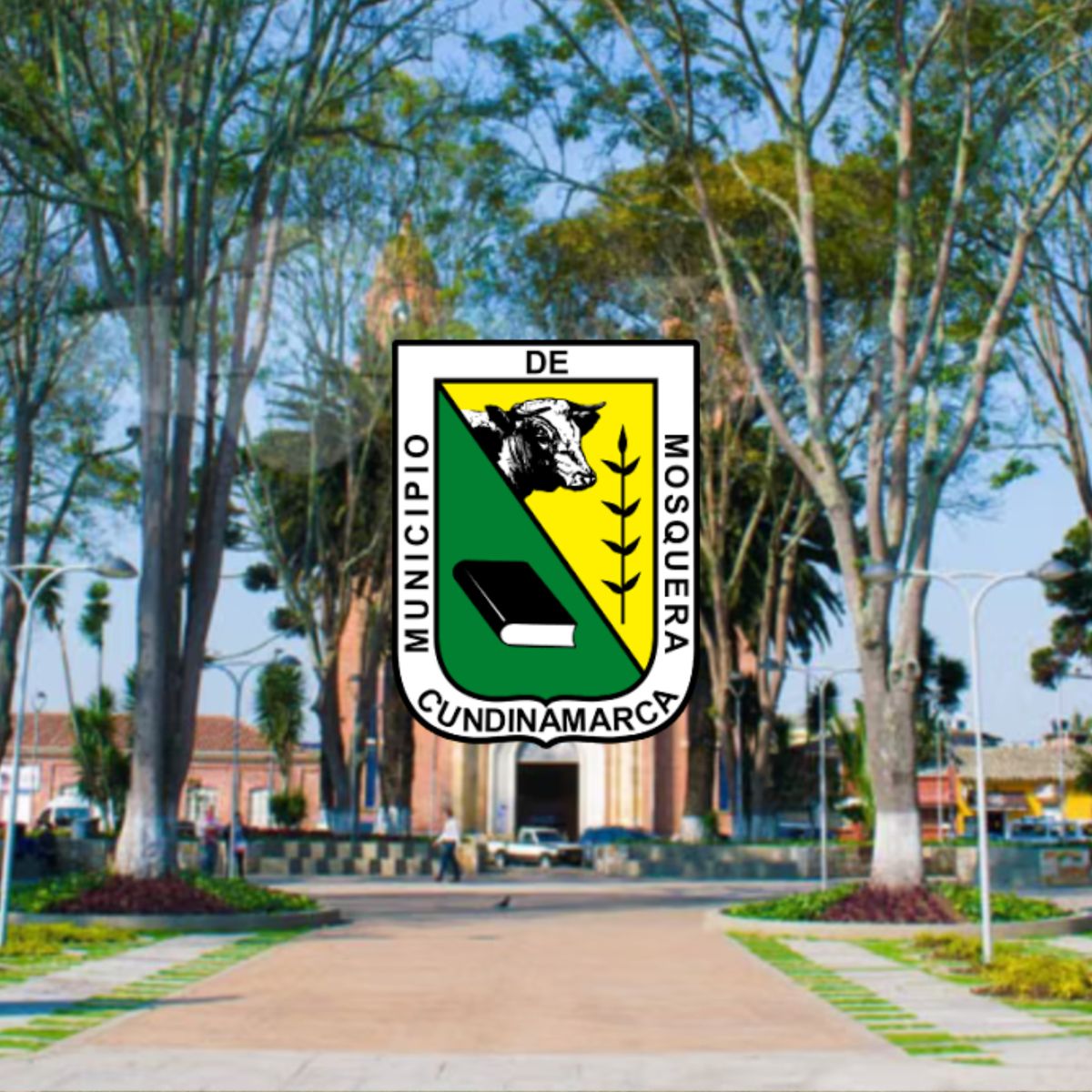 banner_categoria_municipales mosquera