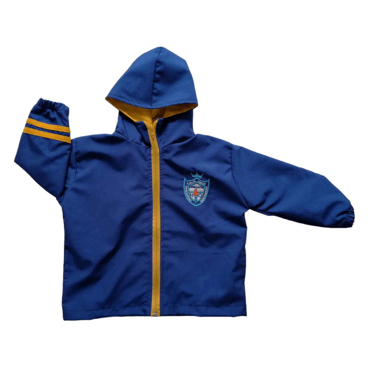 Sudadera Kindergarten Howard Gardner Azul Amarillo Chaqueta 2